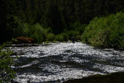 DSC_9905 (Large).JPG